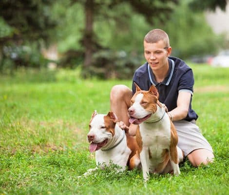 Take your pet home